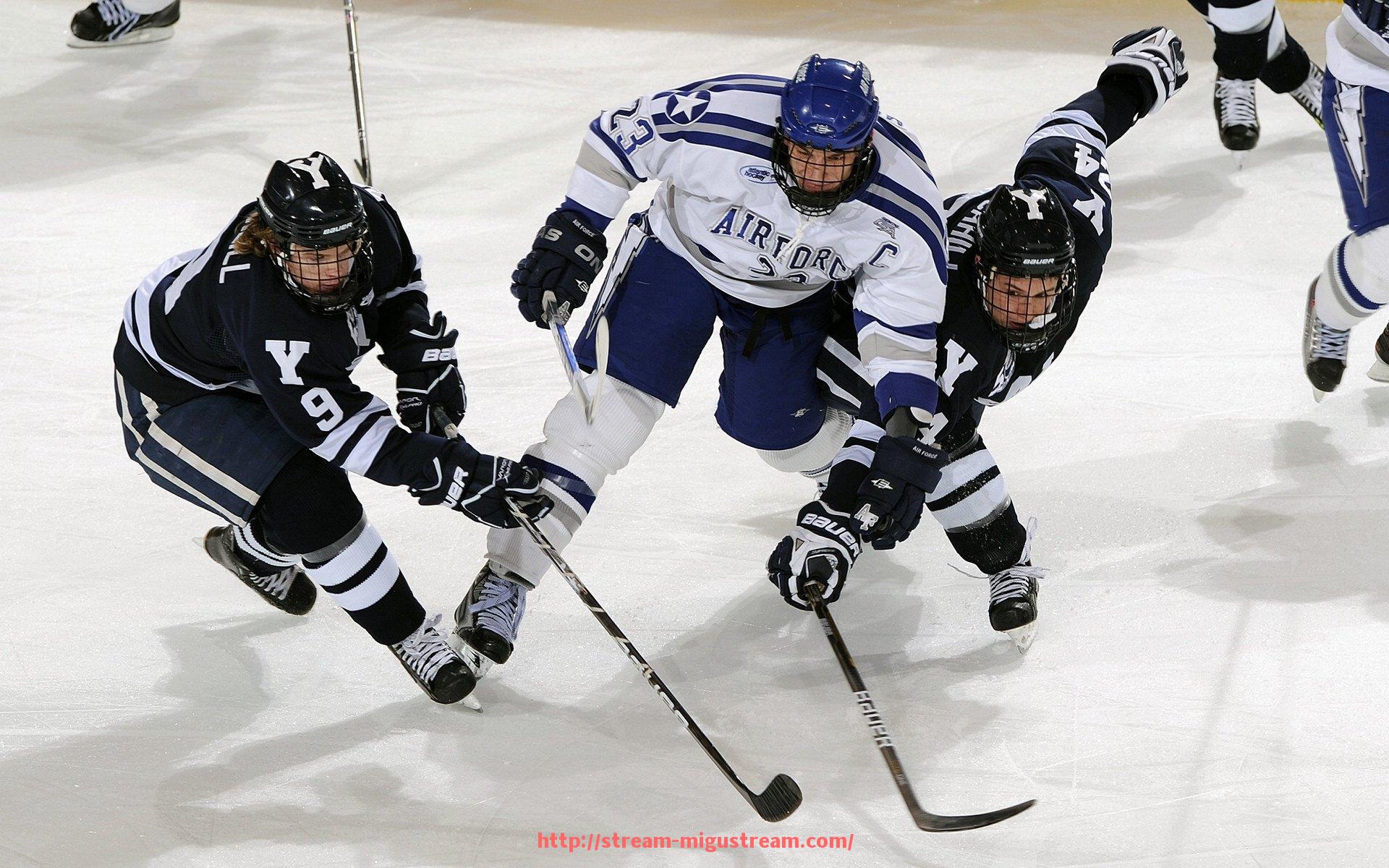 咪咕体育直播-法甲俱乐部经营模式研究:企业化、财团化与会员制比较